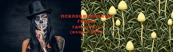 спайс Верхний Тагил