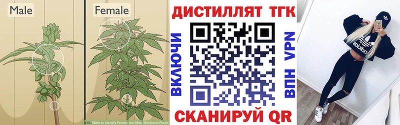 ТГК Wax  Кирс 